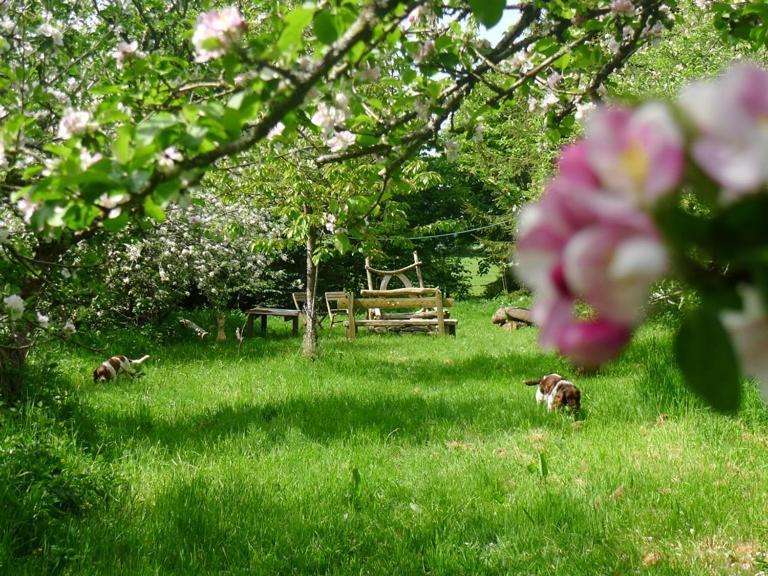 Tuell Farm Cottages Tavistock  Bagian luar foto