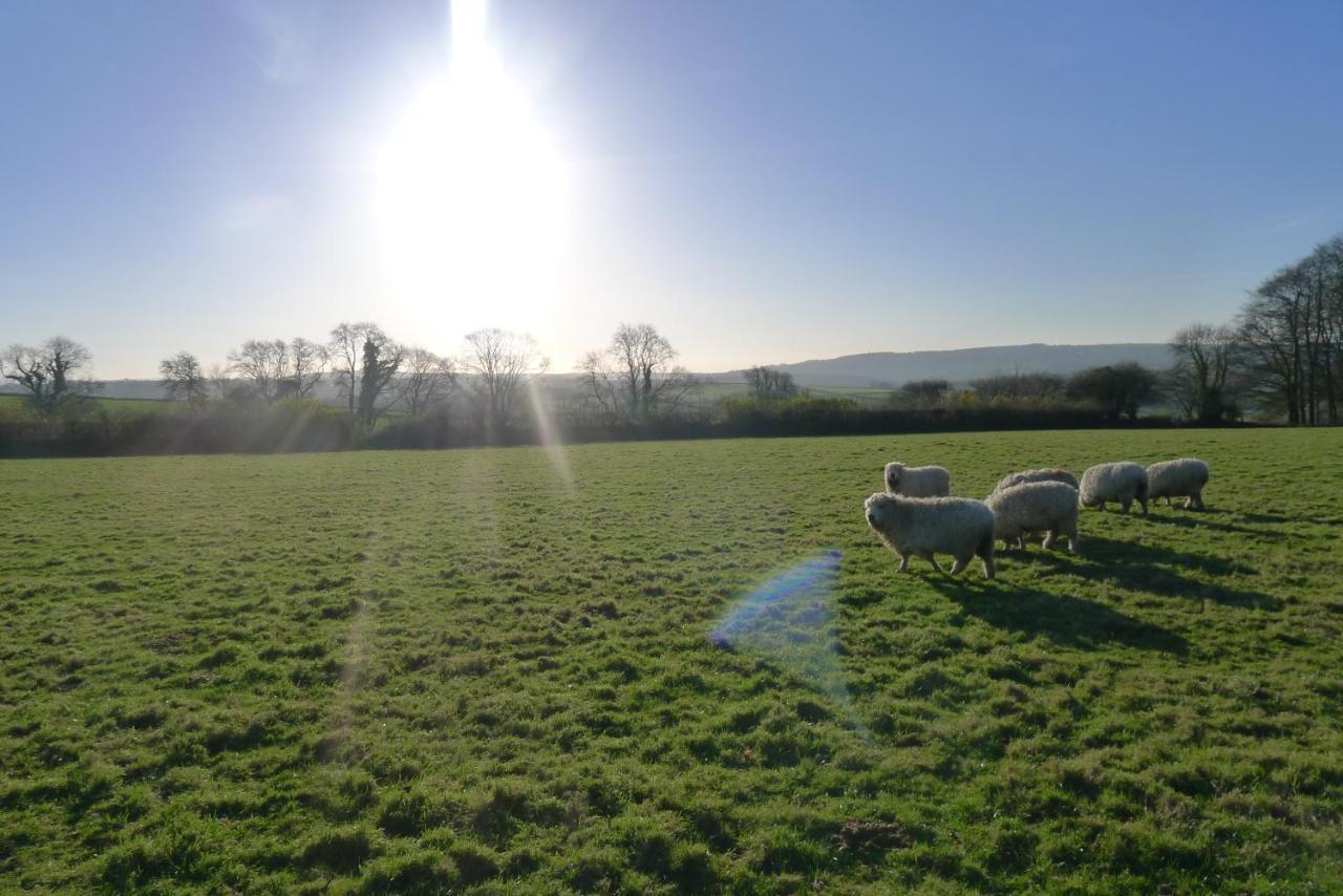 Tuell Farm Cottages Tavistock  Bagian luar foto